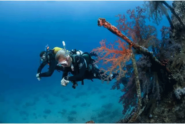 成為潛水員之前的你，是不是也問過這些問題？